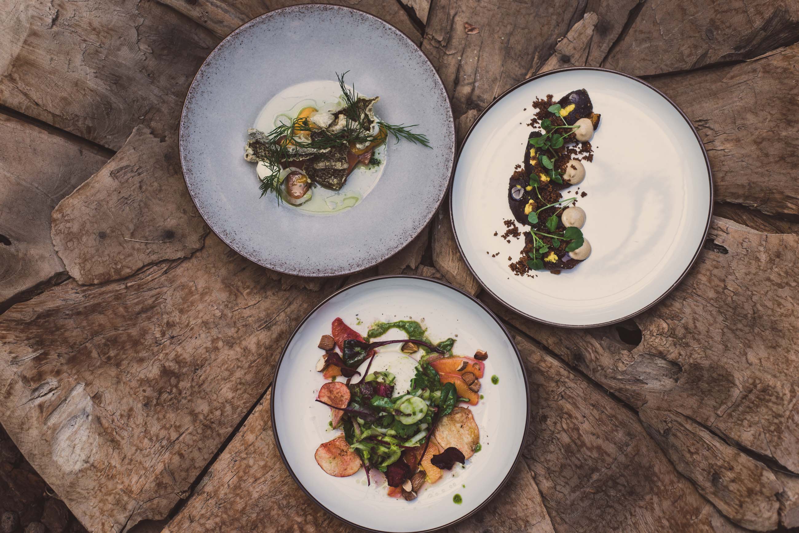 Maträtter på restaurang Flora Arken Hotel 